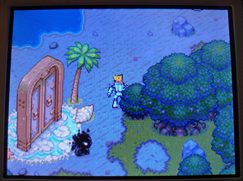 Drawn to Life screenshot of Wilfre, Village Mode (Bottom 3DS screen).