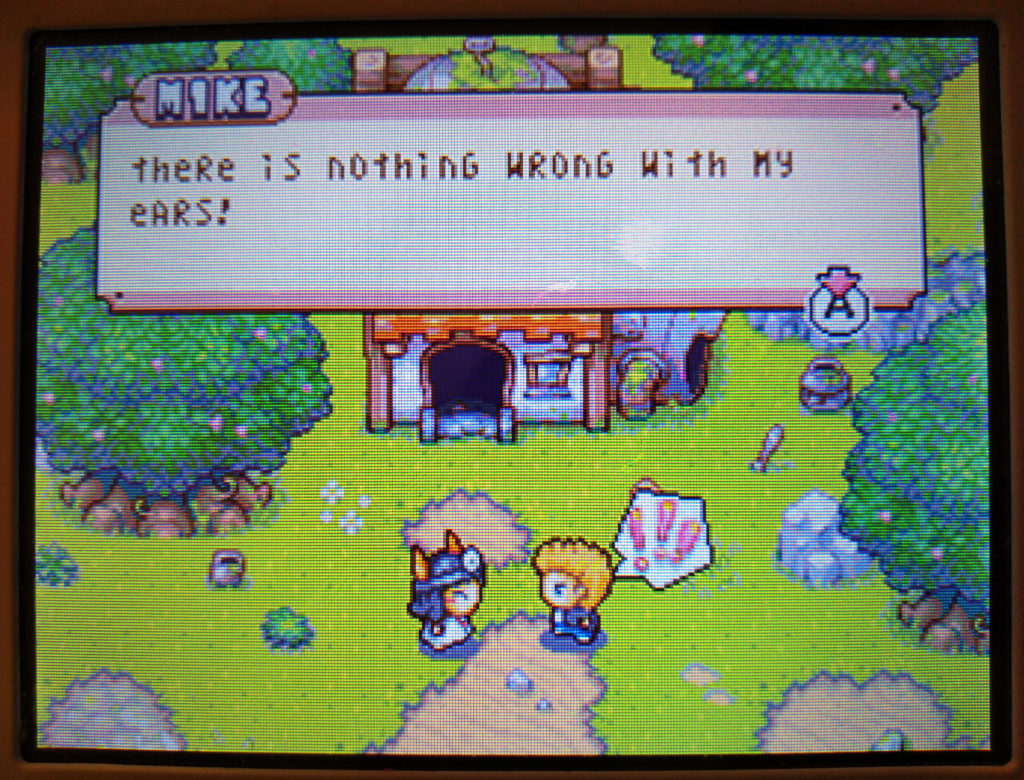 Drawn to Life screenshot of Mike being asked about his ears as the Raposa don't realise he's human instead of a Raposa, Village Mode (bottom 3DS screen).