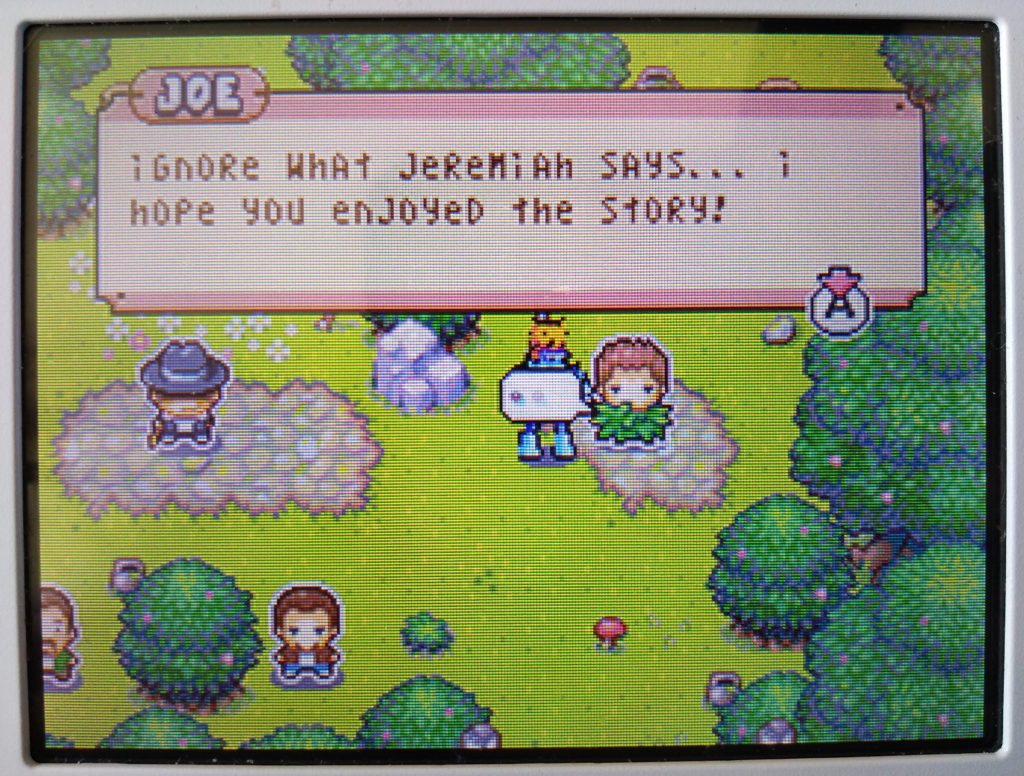 Drawn to Life screenshot of Joe in Developers Grove, Village Mode (bottom 3DS screen).