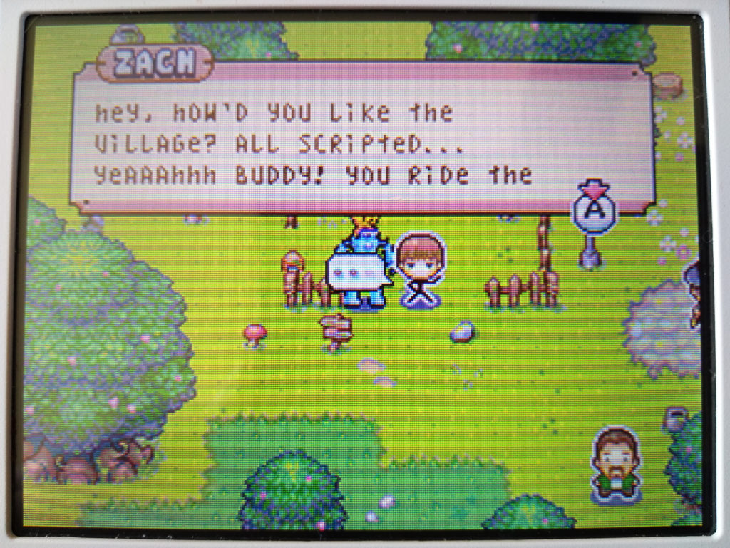 Drawn to Life screenshot of Zach in Developers Grove, Village Mode (bottom 3DS screen).