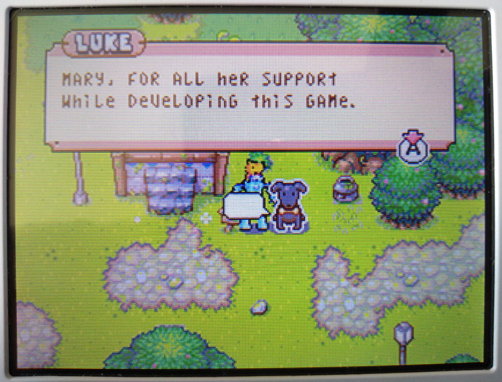 Drawn to Life screenshot of Luke in Developers Grove, Village Mode (bottom 3DS screen).