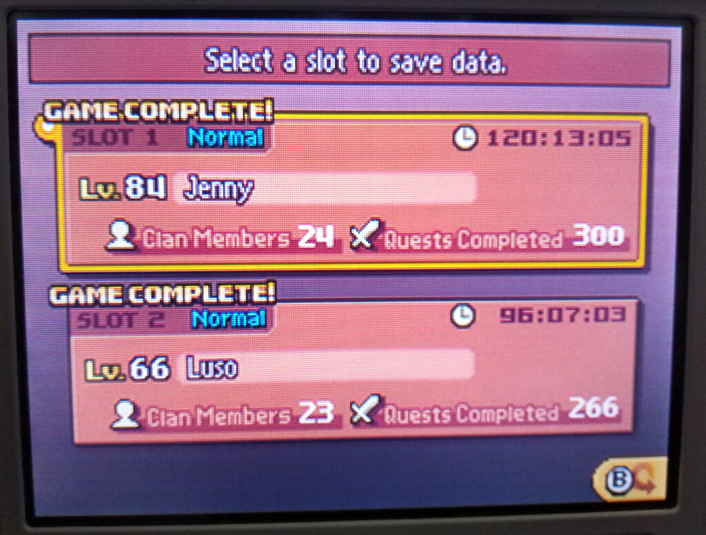 Screenshot of the Save Data (bottom DS screen)